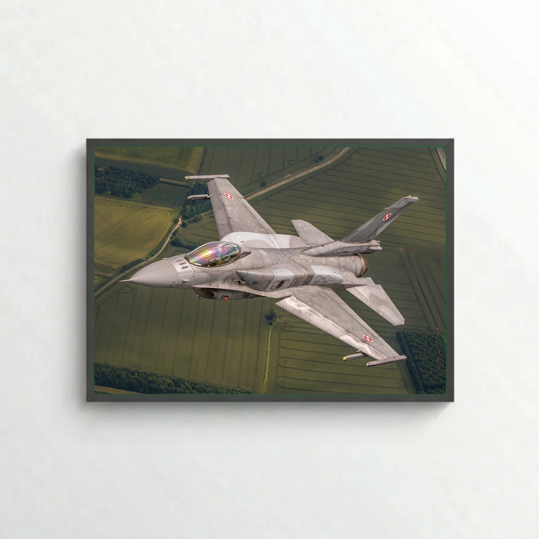 Polish Falcon in flight