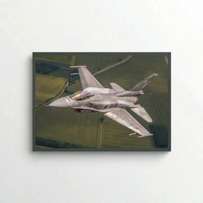 Polish Falcon in flight