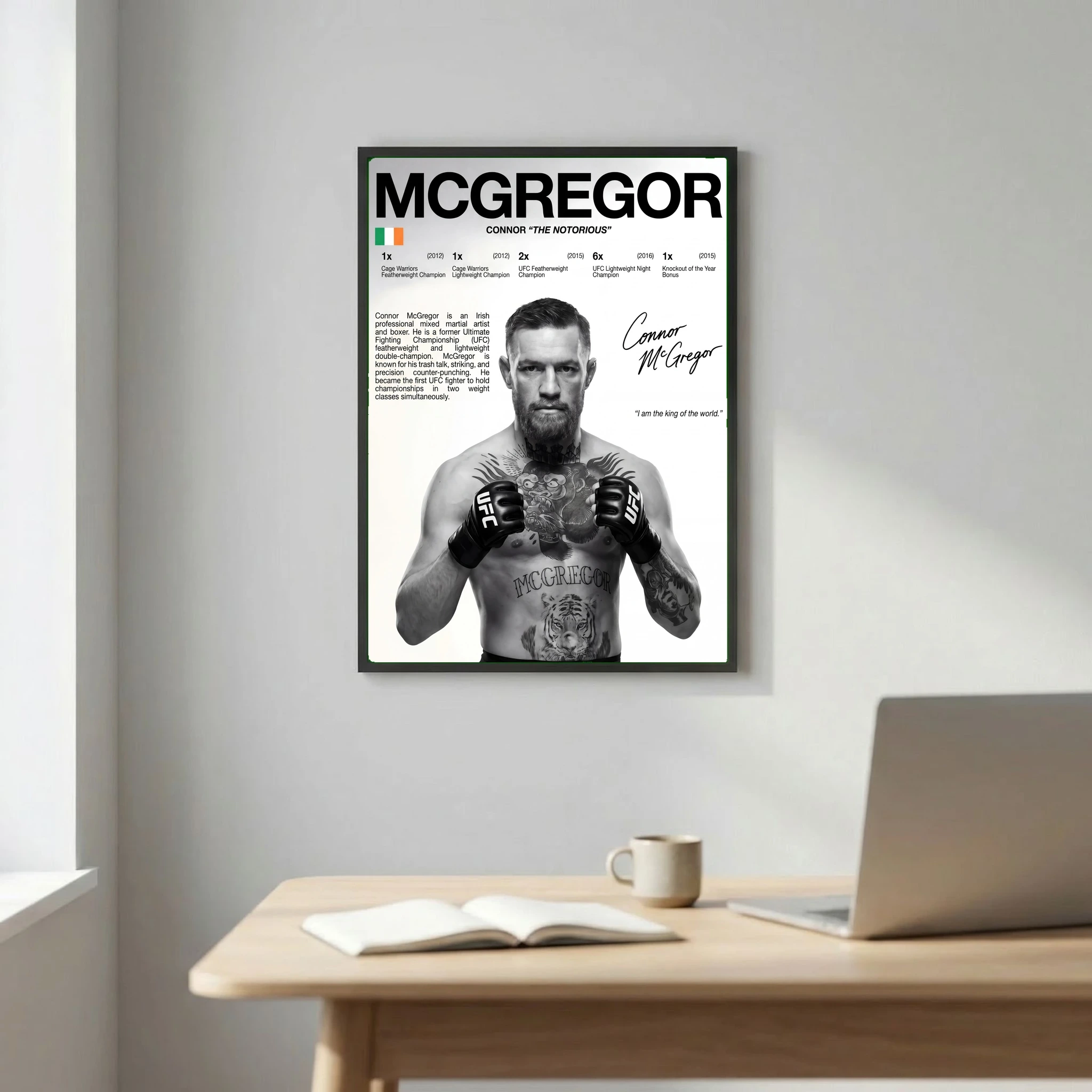 Conor McGregor MMA Poster