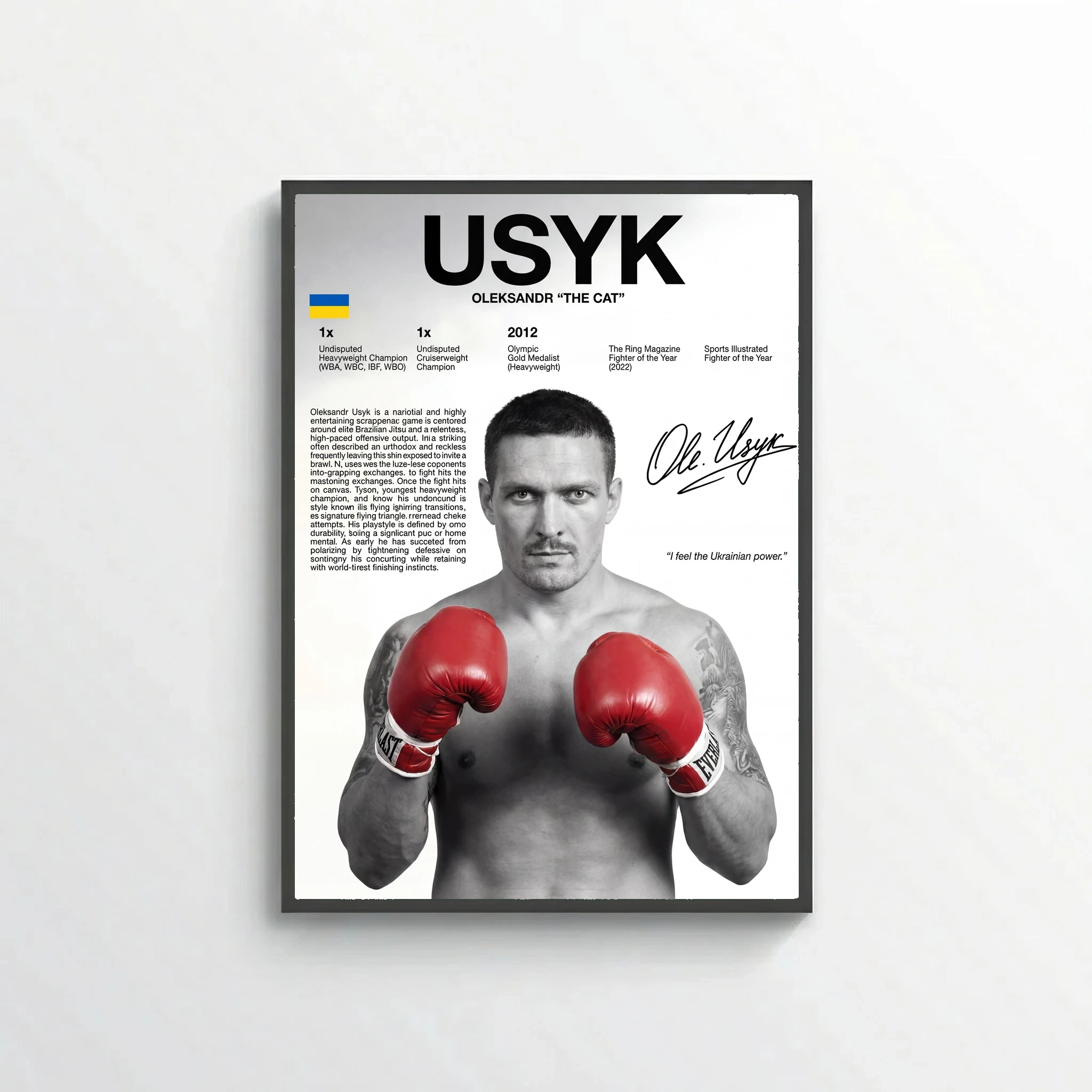 Oleksandr Usyk Boxing Poster