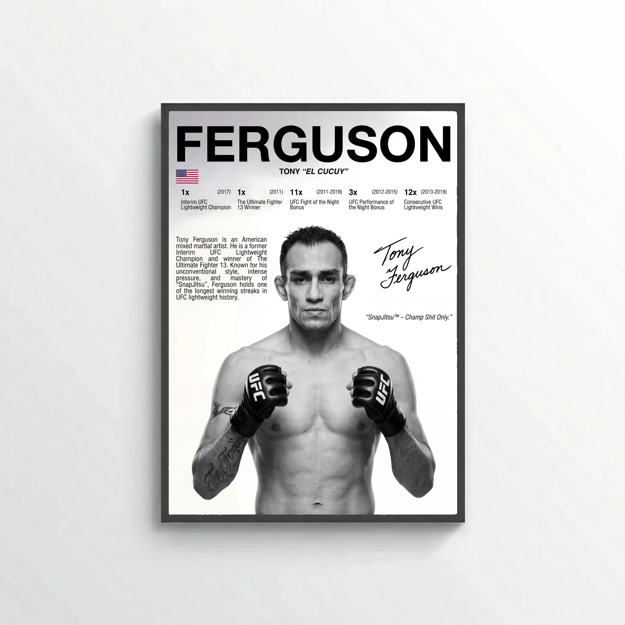 Tony Ferguson MMA Poster