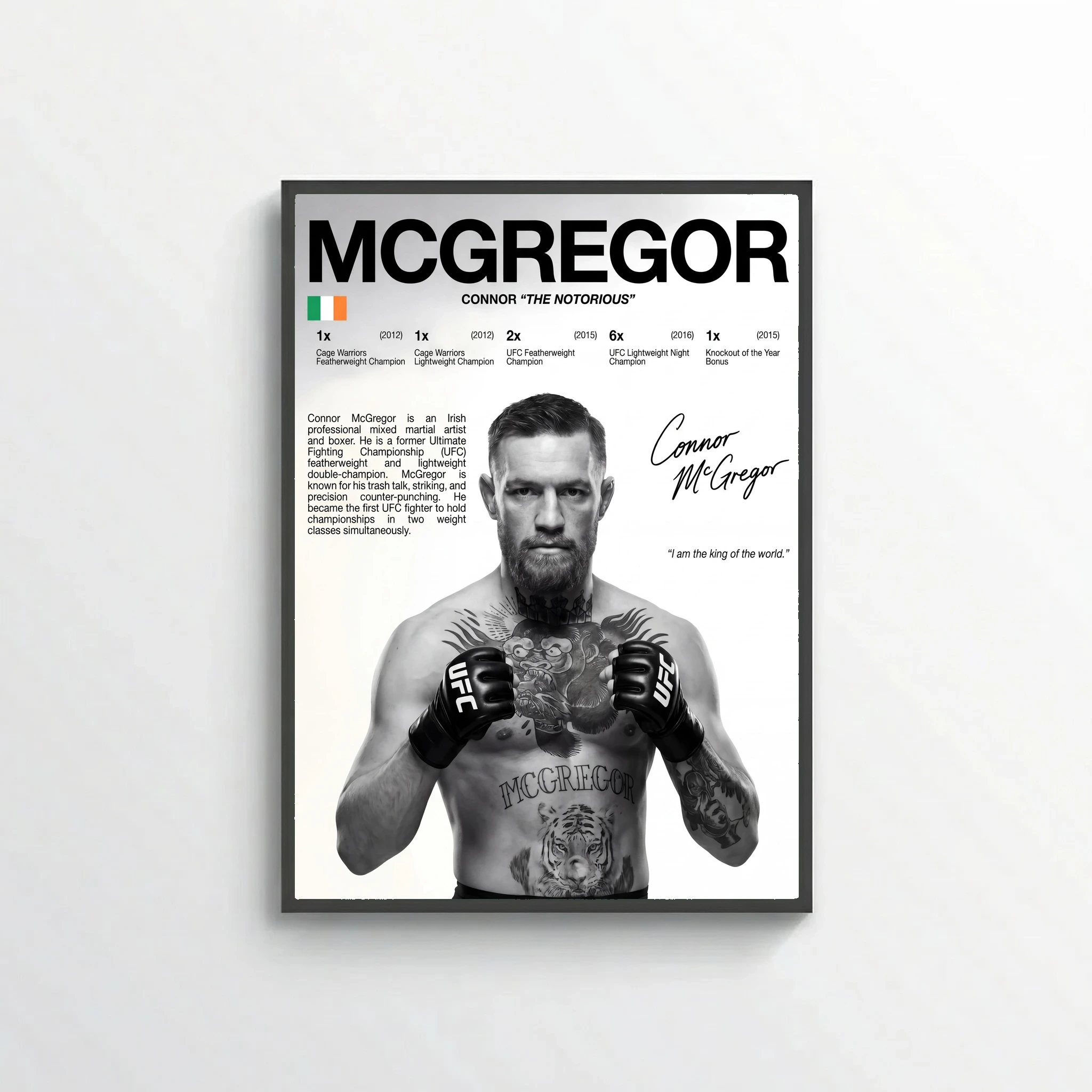 Conor McGregor UFC Poster – Modern MMA Wall Art
