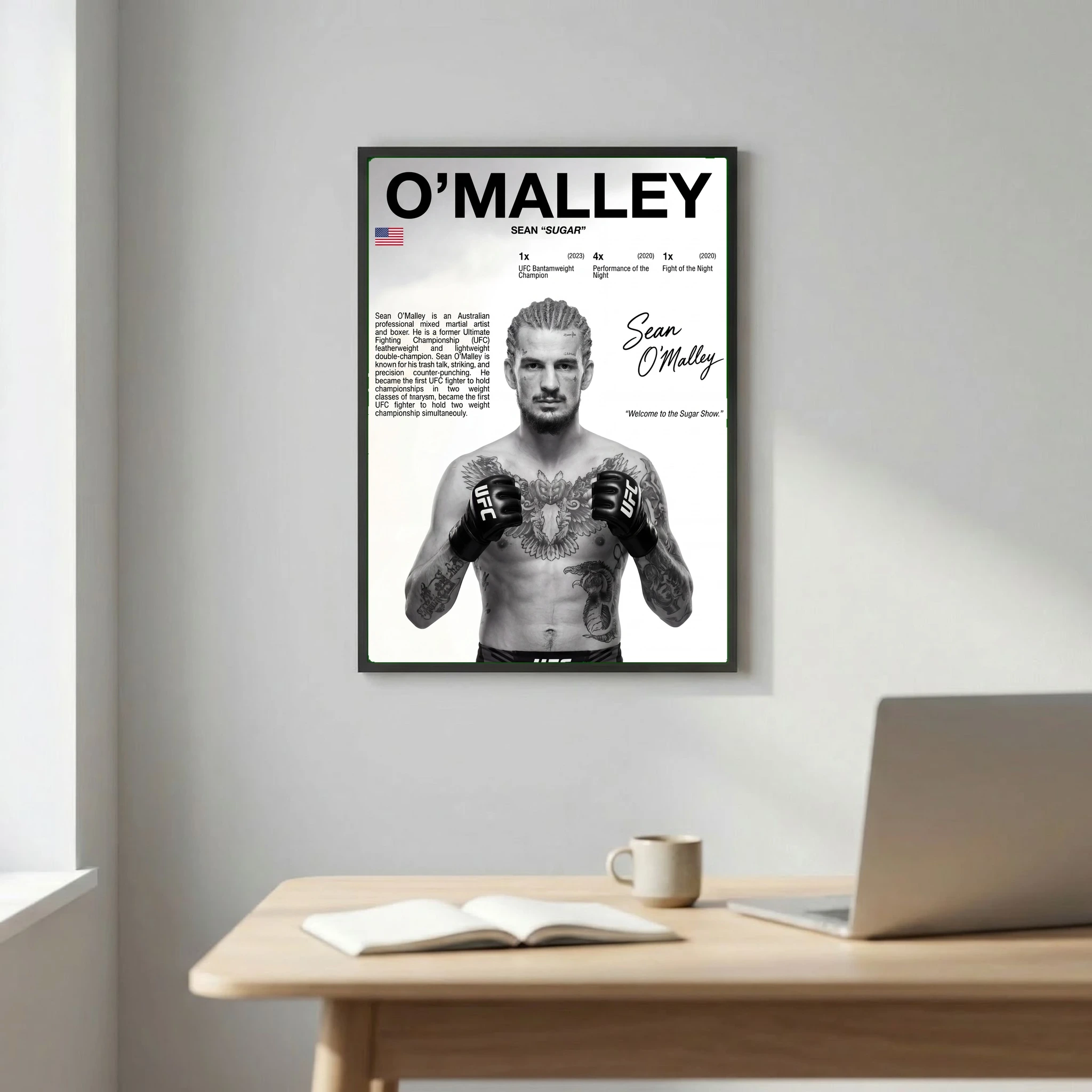 Sean o´malley - sugar