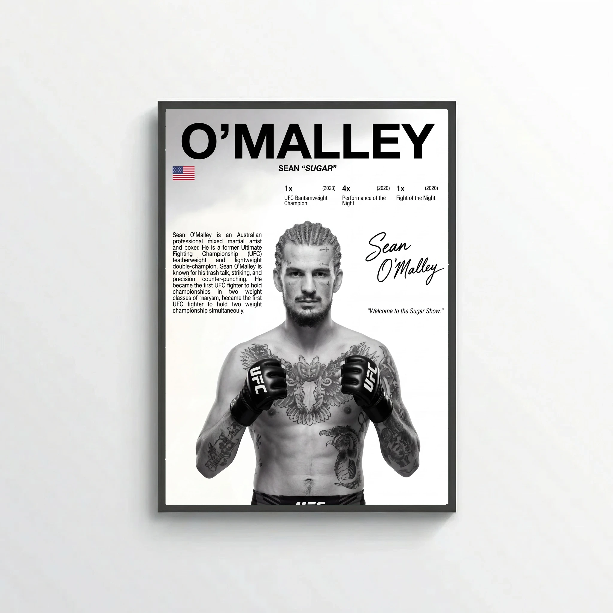 Sean o´malley - sugar
